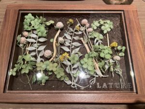 LATURE（ラチュレ） – 表参道/フレンチ