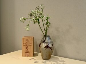 食堂セゾンドール – 福岡・西鉄平尾/フレンチ